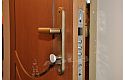 ADLO - security door TESIM, profile Veneer F151 detail, noise-proof