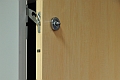 ADLO - Security Door TEDUO, apartment entrance, security door guard, surface Birch