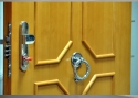 ADLO - Security Door TESIM, Slat LB 420, entrance door with a door-knocker
