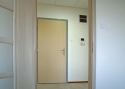 ADLO - Security door TEDUO, plain design, door surface Maple, doorframe surface Color RAL 7046