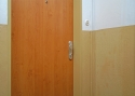 ADLO - Security door TEDUO, plain design, door surface Maple Adria, apartment entrance door