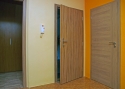 ADLO - Security door TEDUO, plain design, door surface Indian Ebony