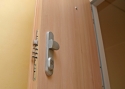 ADLO - Security door TEDUO, apartment entrance door, door surface Locust H1277